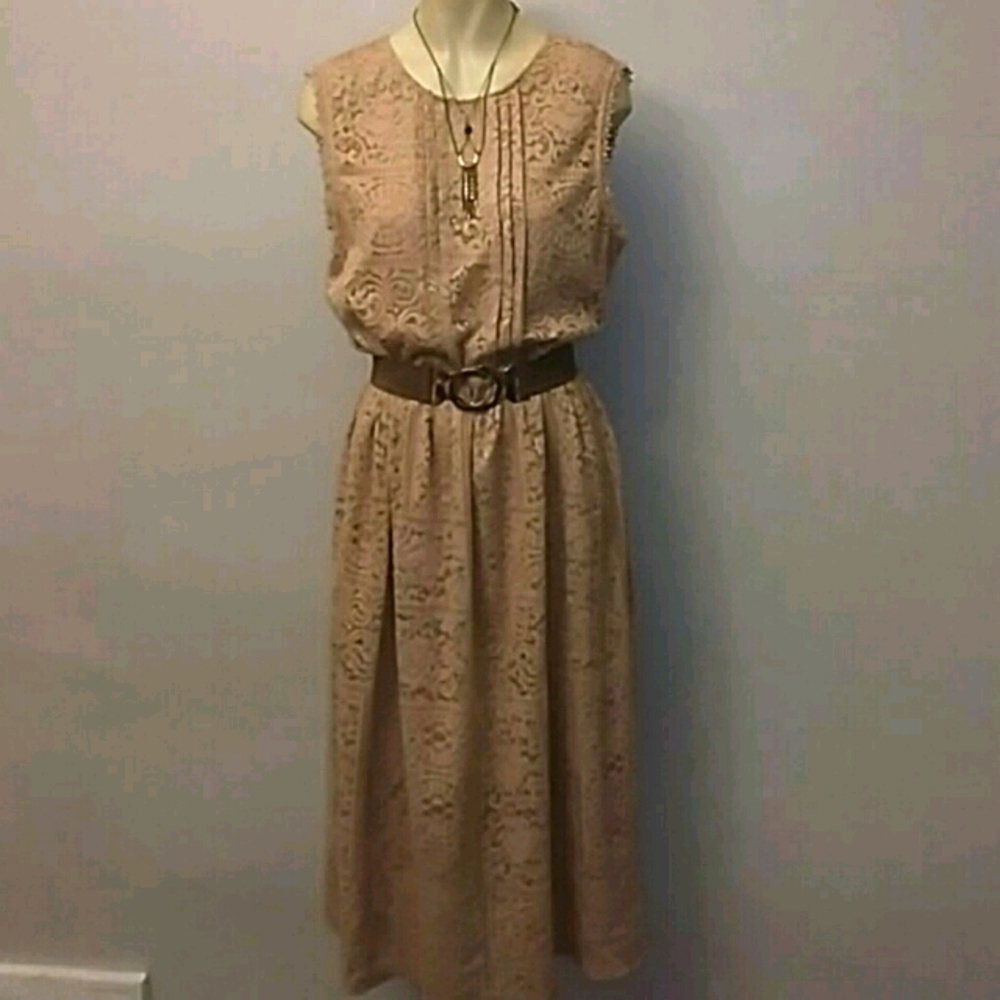Zara Basics Lace Dress